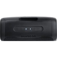 JBL BassPro Go Image #7