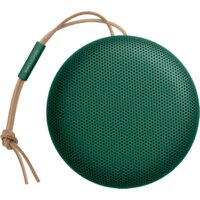 Bang & Olufsen Beosound A1 2nd Gen (зеленый)