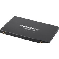 Gigabyte 256GB GP-GSTFS31256GTND Image #3