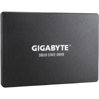 Gigabyte 256GB GP-GSTFS31256GTND Image #2
