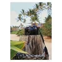 Canon EOS R10 RF-S 18-45mm F4.5-6.3 IS STM + адаптер крепления EF-EOS R Image #15