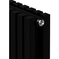 Royal Thermo Shift Q30 C2180 - 04 секций RAL9005m Image #4