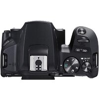 Canon EOS 250D Body (черный) Image #6