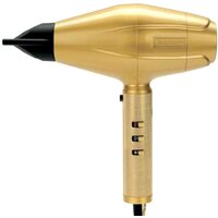 BaByliss PRO GoldFX FXBDG1E