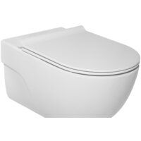 Roca Meridian Rimless A34H240000