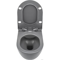 Deante Peonia CDE DZPW (без сиденья) Image #6