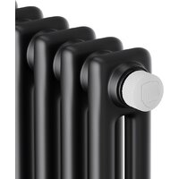 Royal Thermo Insignia VC2180 - 10 секций RAL9005m Image #3