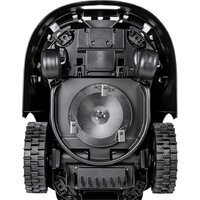 Cedrus C-MOW L20 Image #5