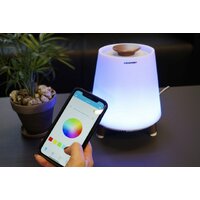 Blaupunkt BT25LAMP Image #4