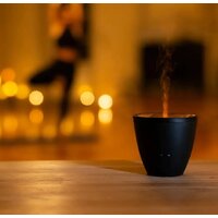 Stadler Form Zoe (черный) Image #13