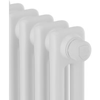 Royal Thermo Insignia VC2180 - 12 секций RAL9016 Image #3