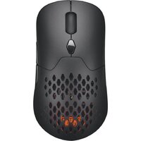 Silver Monkey SMX Vervet SMXG001