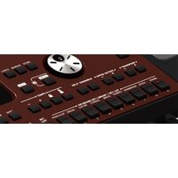 KORG Pa700 Image #14