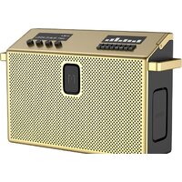 Defunc Mondo BT Speaker Large (латунный) Image #1