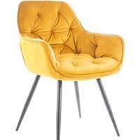 Signal Cherry Velvet (bluvel 68 карри)