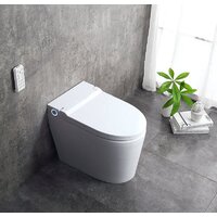 Brunnen WAL BW-2402 (автоподъем/опускание крышки) Image #13