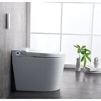 Brunnen WAL BW-2402 (автоподъем/опускание крышки) Image #17