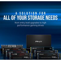 PNY CS1030 250GB M280CS1030-250-RB Image #5