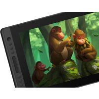 Huion Kamvas Pro 16 Image #3