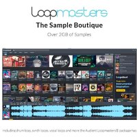 Audient iD14 Image #17