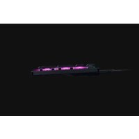 Razer Deathstalker V2 (Razer Low Profile Optical Purple, нет кириллицы) Image #4