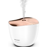 Sharp DF-A1E-W Image #2