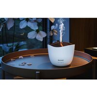 Sharp DF-A1E-W Image #3