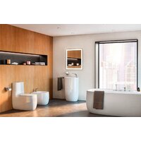 Roca Beyond 3460B7000 (без сиденья) Image #5