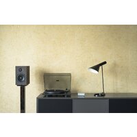 Pro-Ject Primary E (черный) Image #2