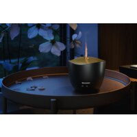 Sharp DF-A1E-B Image #2