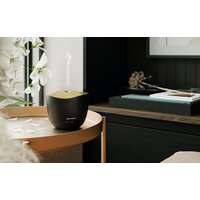 Sharp DF-A1E-B Image #3