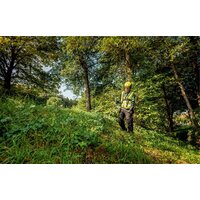 Metabo FSB 36-18 LTX BL 40 601611850 (без АКБ) Image #10