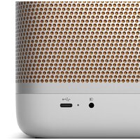 Bang & Olufsen Beolit 20 (серый) Image #7