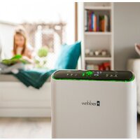 Webber AP8700 Image #9