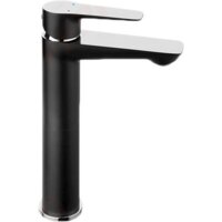 Ferro Adore BDR2LBLC (черный/хром) Image #1