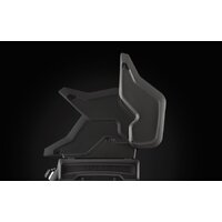 Napoleon Rogue-425 XT Image #13