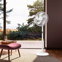 Electrolux EFF-1002i Image #6