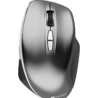 Canyon MW-21 (серый)