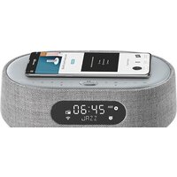 Harman/Kardon Citation Oasis (серый) Image #4