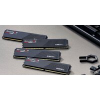 G.Skill Ripjaws S5 2x48ГБ DDR5 5200 МГц F5-5200J4040A48GX2-RS5K Image #5