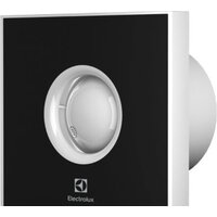 Electrolux Rainbow EAFR-100 (черный)
