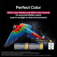 LG OLED evo AI C5 OLED77C51LA Image #8