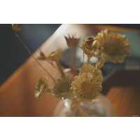 Sony Alpha a7C II Kit 28-60mm (черный) Image #20