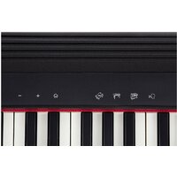 Roland Go:Piano GO-61P Image #7