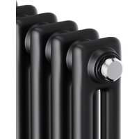 Royal Thermo Insignia C2180 - 08 секций RAL9005m Image #3