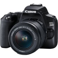 Canon EOS 250D Kit 18-55 f/3.5-5.6 III (черный) Image #4
