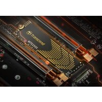 Transcend 250S 1TB TS1TMTE250S Image #5