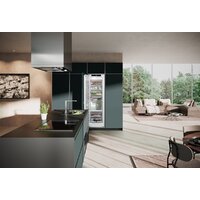 Liebherr SIFNe 5188 Peak Image #12