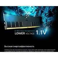 Silicon-Power 32ГБ DDR5 5600 МГц SP032GBLVU560F02 Image #3