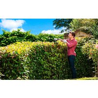 Ryobi RHT5655RS Image #5